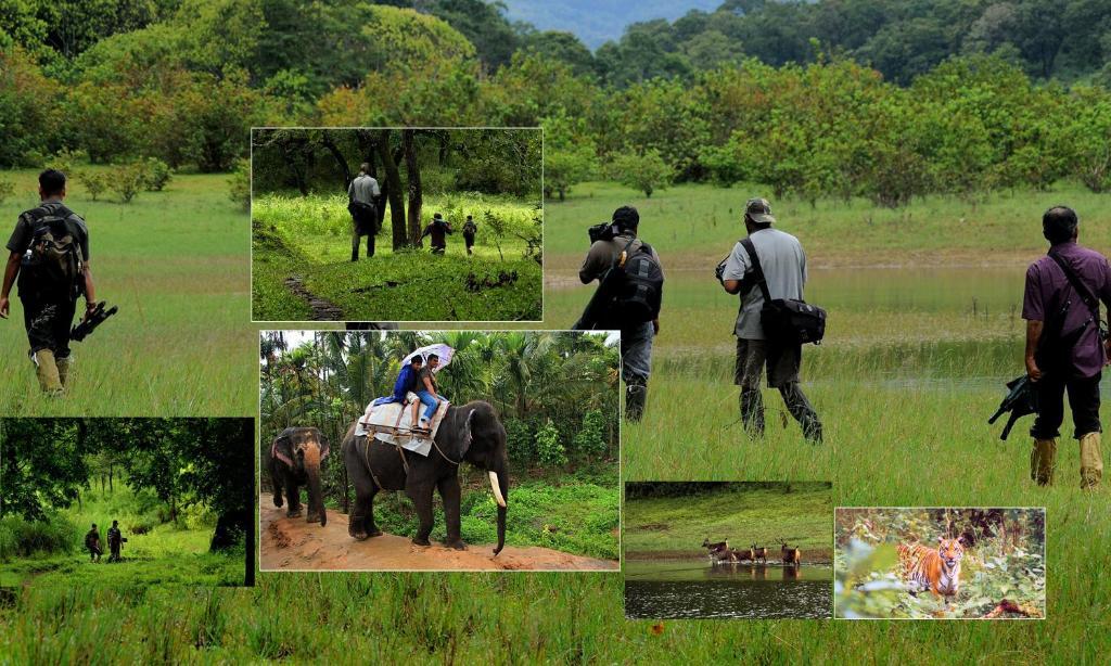 Jungle Park Resorts Thekkady Ngoại thất bức ảnh