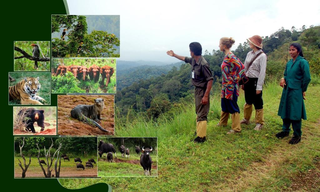 Jungle Park Resorts Thekkady Ngoại thất bức ảnh